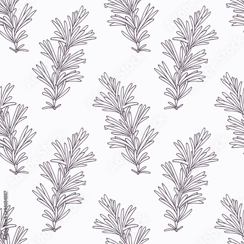 Hand drawn rosemary branch outline seamless pattern