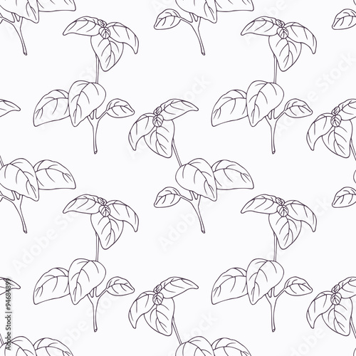 Hand drawn basil branch outline seamless pattern