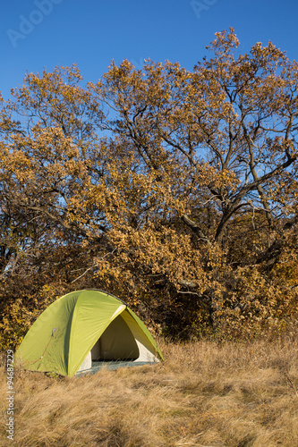 Tent Camping In Redwoods © vetal1983