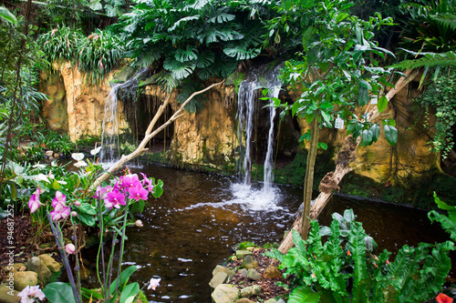 Exotic tropical garden landscape