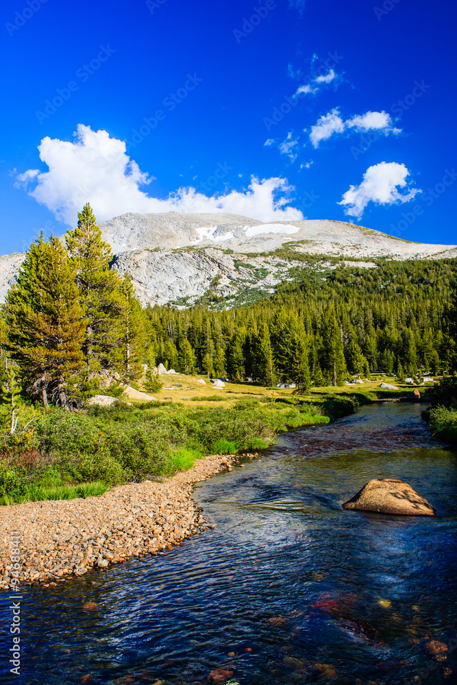 Fototapeta premium Tioga Pass, Yosemite National Park, Sierra Nevada, USA