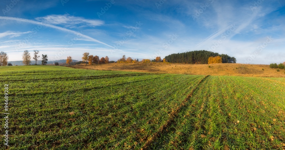 Green field at autumnal morning. Panormic landscape