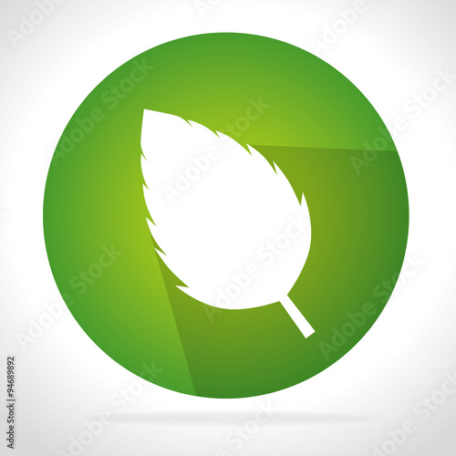 leaf green icon ecology design, vector illustration graphic.