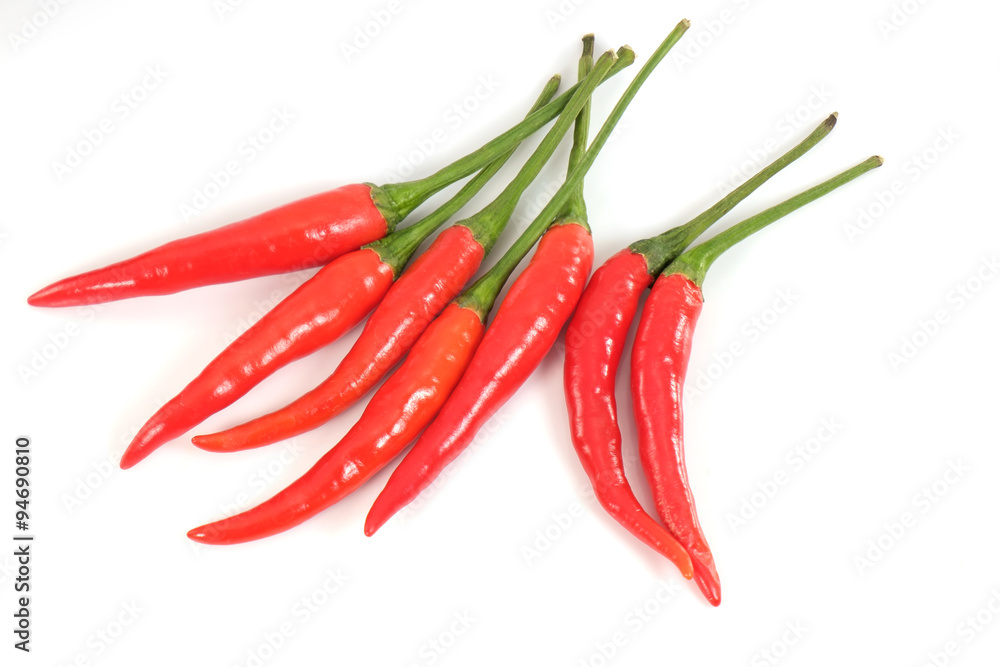 Hot red chili/Hot red chili on white background.