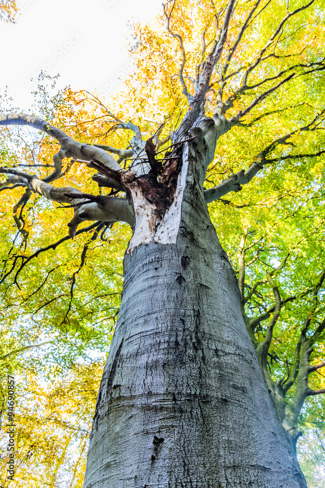 Obraz premium quellenthal