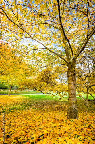 Herbstzeit