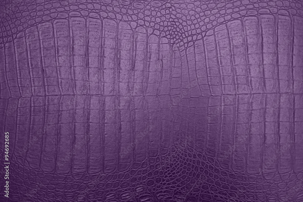 Fototapeta premium purple crocodile skin texture
