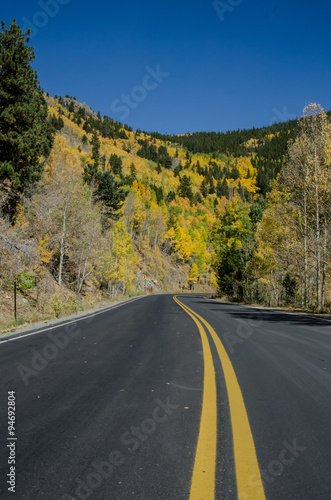 Open Colorado Mountain Road in Fall © kellyvandellen