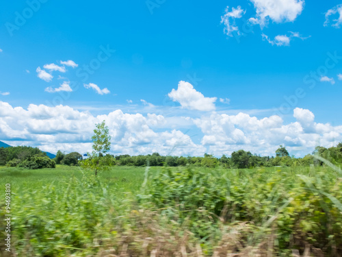 Blue sky clouds with green grass meadow motion blur (focusing at