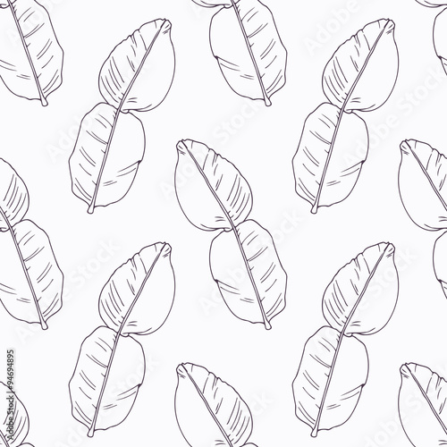 Hand drawn kaffir lime branch outline seamless pattern