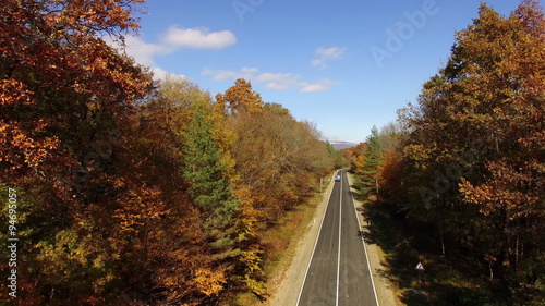 Aerial View Autumn Forest with Road photo