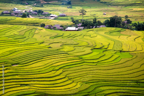 Beautiful rice terrace in northern vietnam