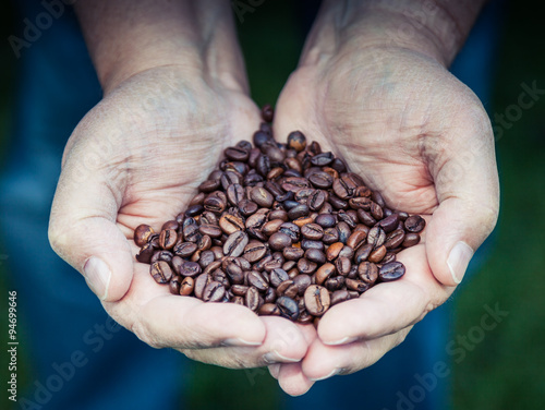 Hands holding pile of roasted coffee beans