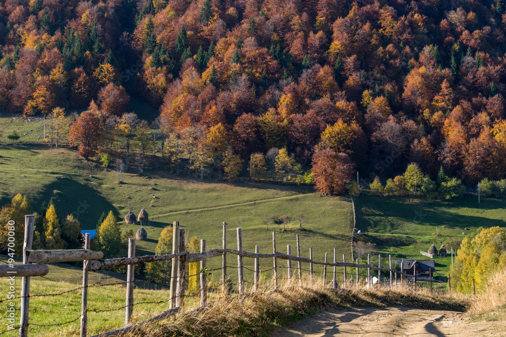 Autumn trees on mountain hills