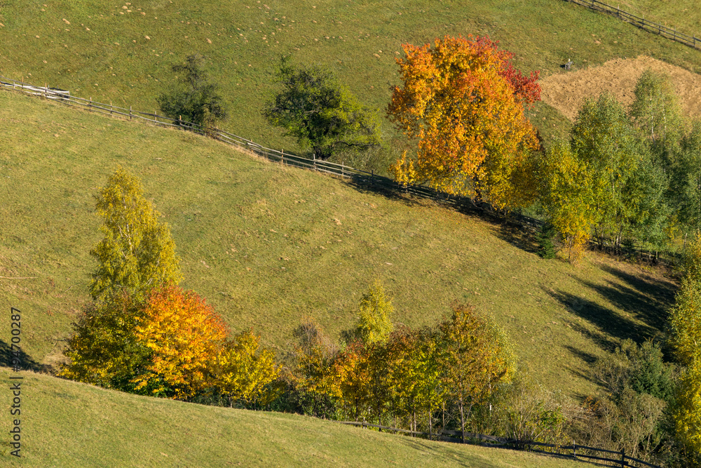 Autumn trees on mountain hills Autumn trees on mountain hills