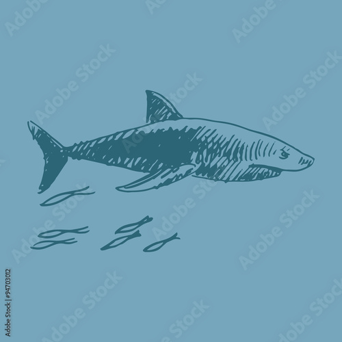 Vector shark. Quick sketch