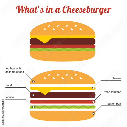 Flat design cheeseburger infographic isolated on white background. Cheeseburger concept illustration for print.