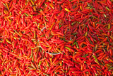 Background of ripe red chili peppers
