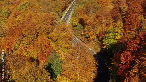 Aerial View Autumn Forest with Road photo