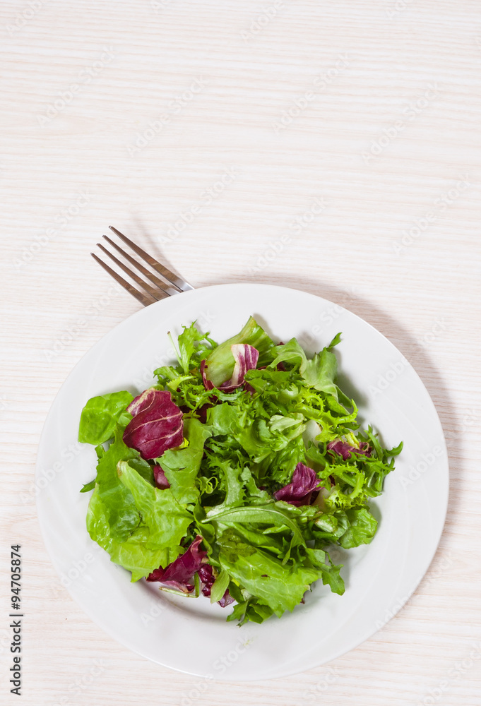 fresh mixed salad leaves fresh mixed salad leaves