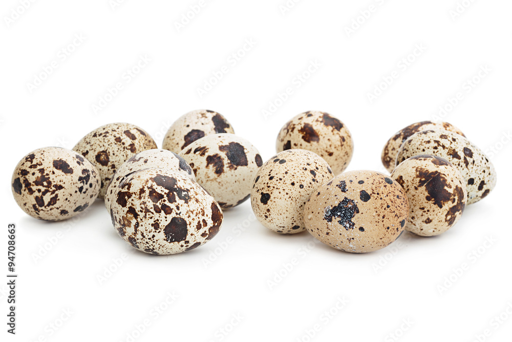 Quail egg group