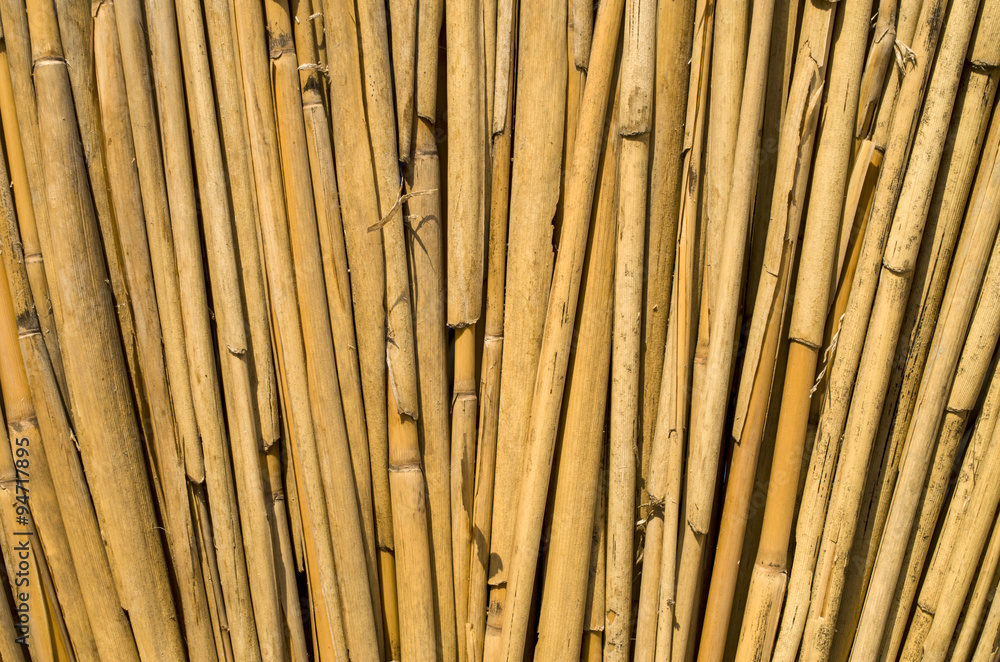 New cane wall closeup New cane wall closeup