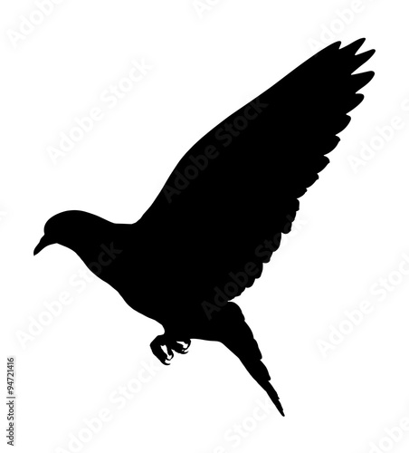 Silhouette of a flying dove on a white background  vector illustration