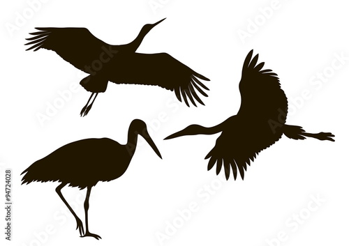 drawing silhouettes of three storks