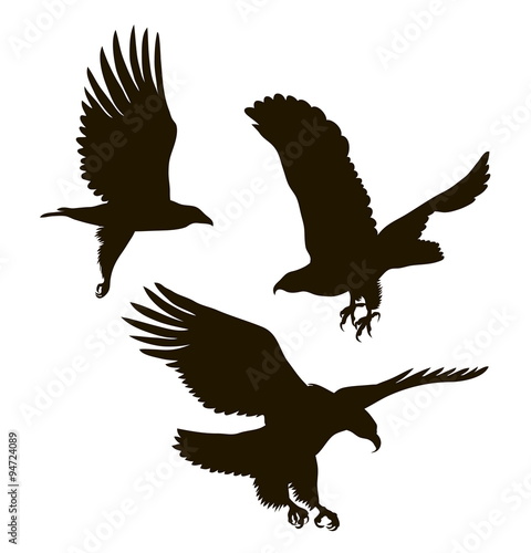 drawing silhouettes of three eagles