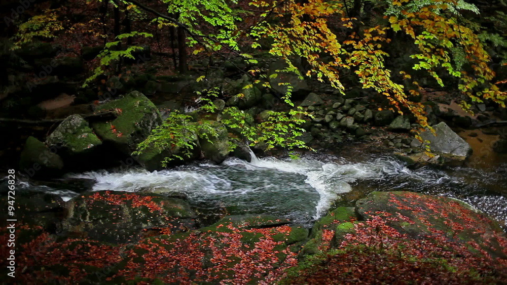 Autumn foliage, fallen leaves by the stream in magical forest of Giant Mountains, Poland Autumn foliage, fallen leaves by the stream in magical forest of Giant Mountains, Poland
