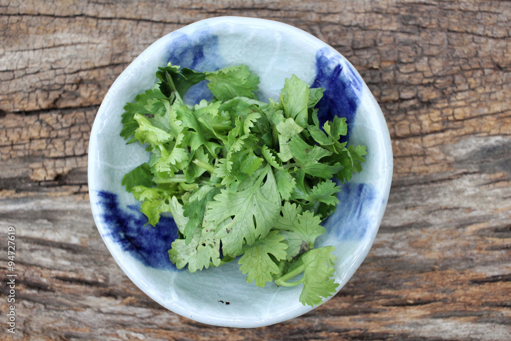 Coriander Coriander
