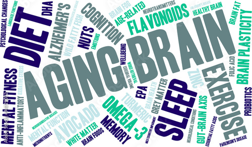 Aging Brain Word Cloud