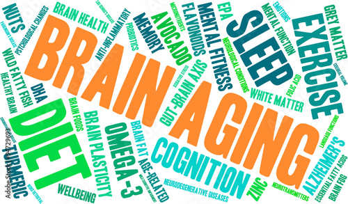 Brain Aging Word Cloud