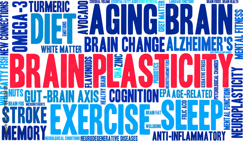 Brain Plasticity Word Cloud Brain Plasticity Word Cloud