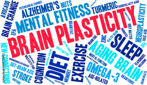 Brain Plasticity Word Cloud