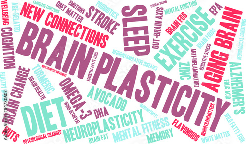Brain Plasticity Word Cloud