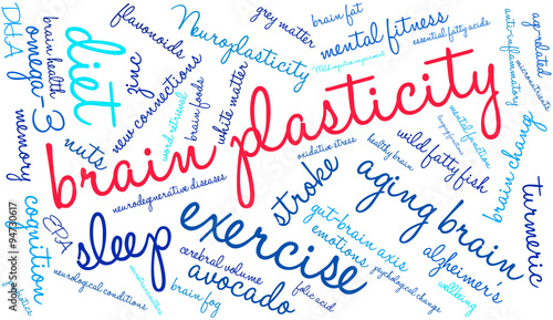 Brain Plasticity Word Cloud