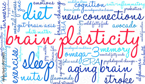 Brain Plasticity Word Cloud
