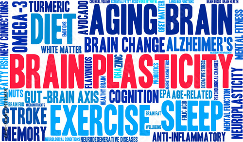 Brain Plasticity Word Cloud
