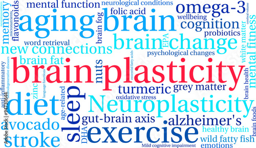 Brain Plasticity Word Cloud