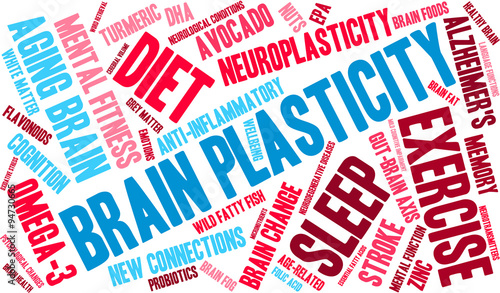 Brain Plasticity Word Cloud