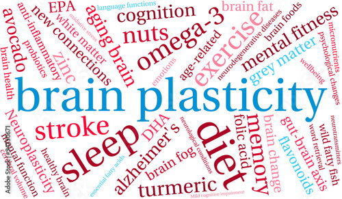 Brain Plasticity Word Cloud