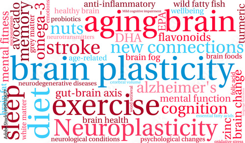 Brain Plasticity Word Cloud