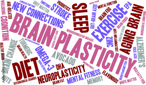 Brain Plasticity Word Cloud