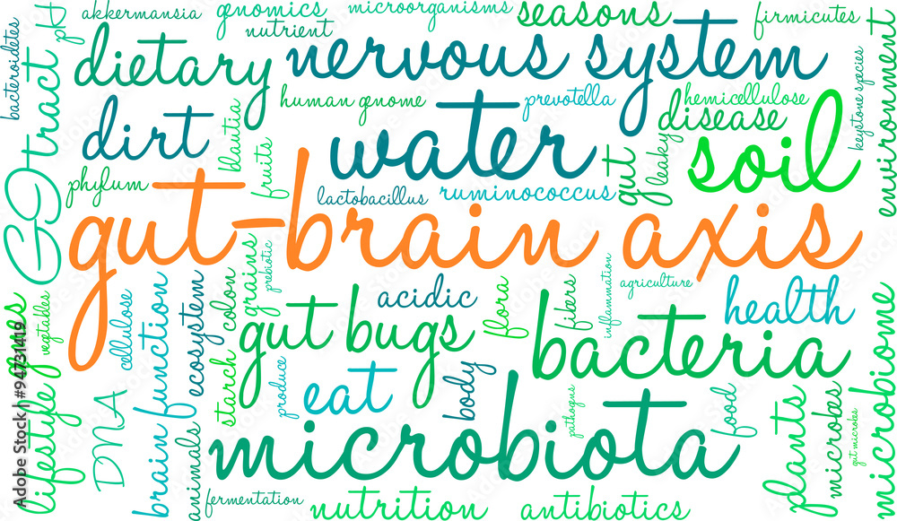 Gut-Brain Axis Word Cloud Gut-Brain Axis Word Cloud