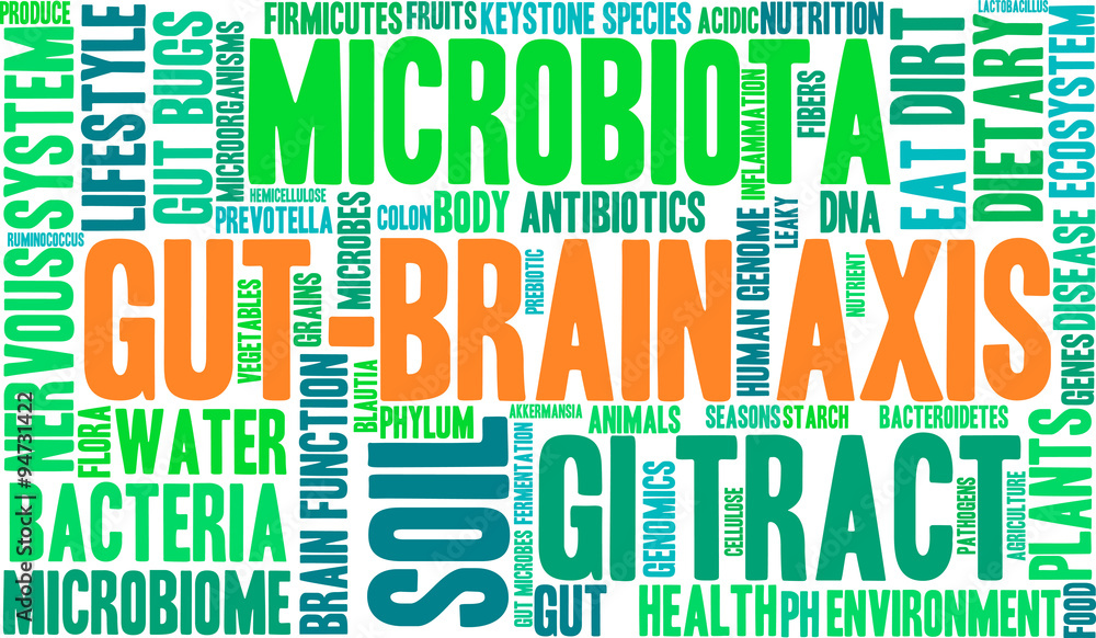 Fototapeta premium Gut-Brain Axis Word Cloud