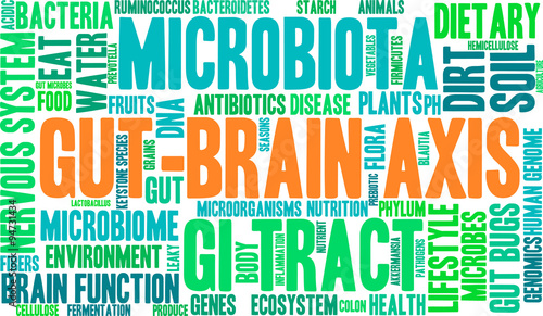 Gut-Brain Axis Word Cloud