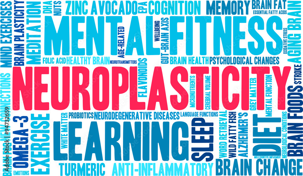 Neuroplasticity Word Cloud Neuroplasticity Word Cloud