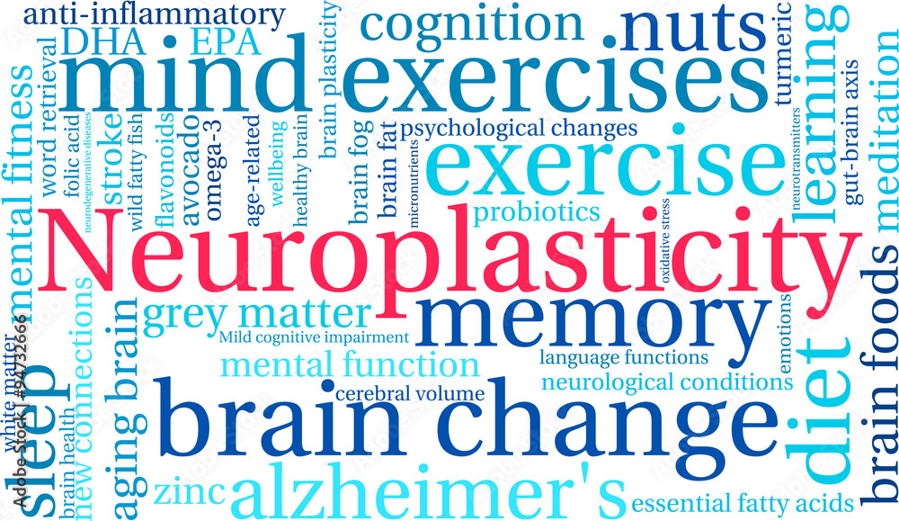 Neuroplasticity Word Cloud Neuroplasticity Word Cloud