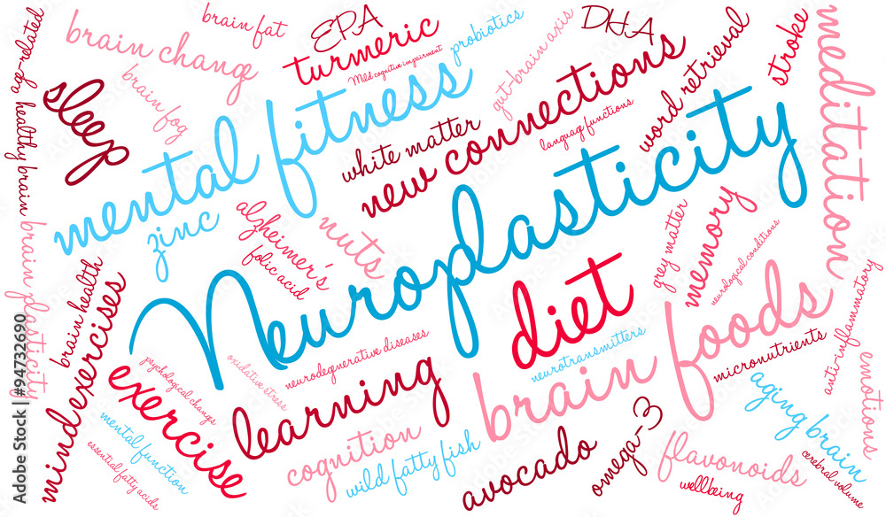 Neuroplasticity Word Cloud Neuroplasticity Word Cloud